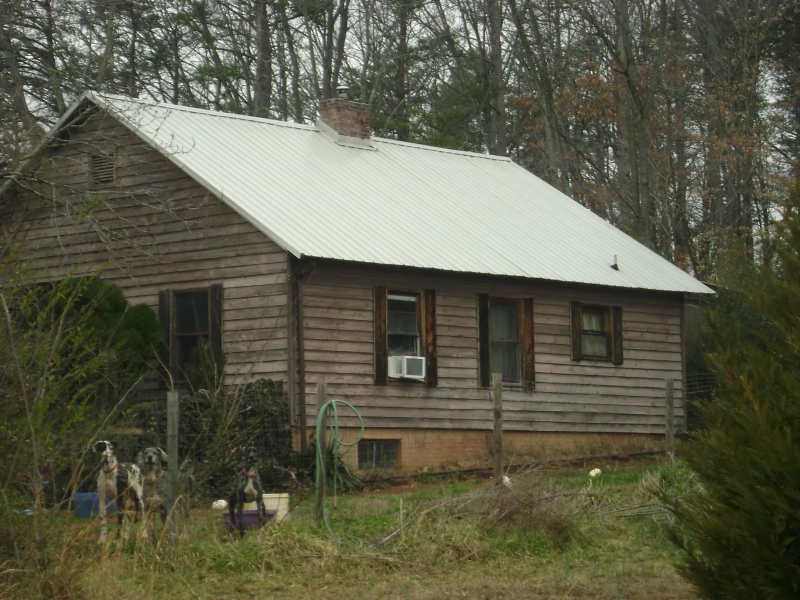 White metal roof on an old wood sided farmhouse, from a Asphalt Shingle Roof Repair job in Clifton